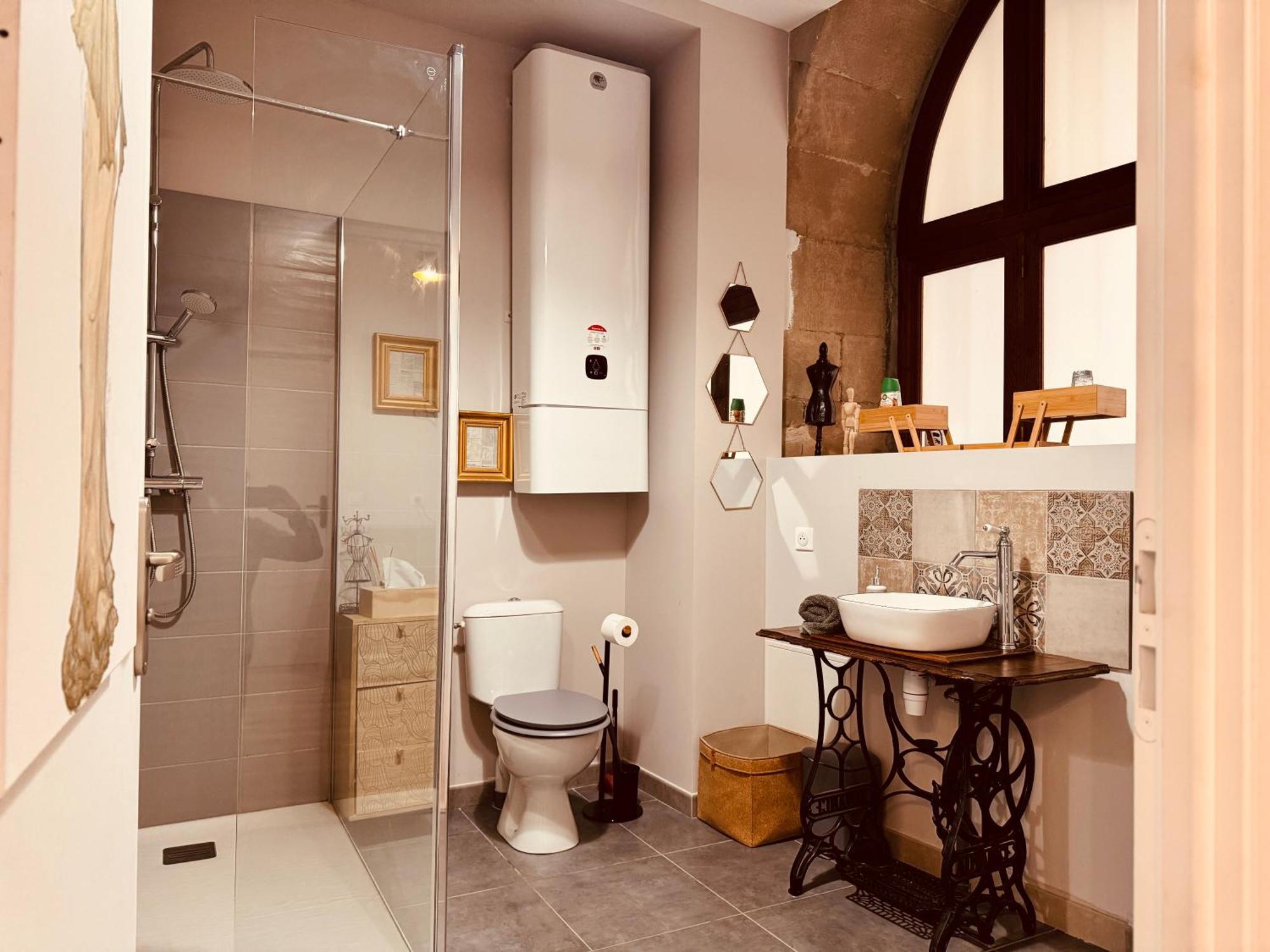 Le Tailleur, Centre Historique, Fibre, Climatisation, Ess, Rez-De-Chaussee, Bedinshop Роман-сюр-Изер Экстерьер фото